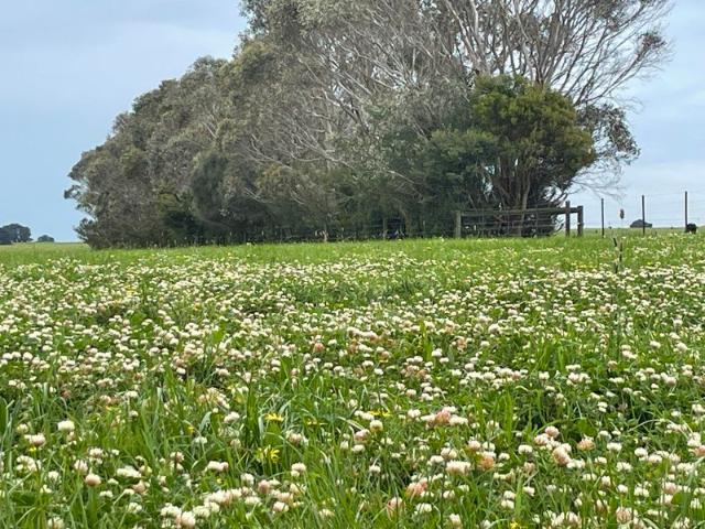 Cottage for sale in Tarrone, Victoria
