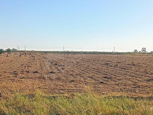 Tarsus, Mersin içerisinde satılık Arsa