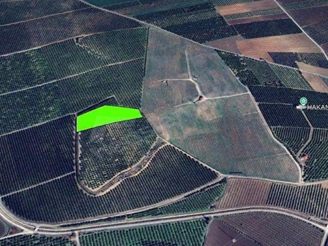 Tarsus, Mersin içerisinde satılık mülk