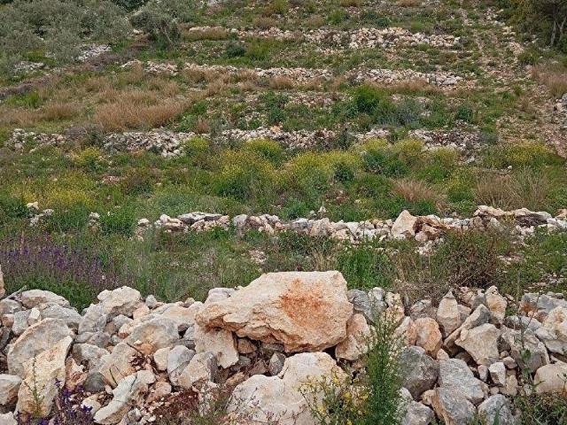 Tarsus, Mersin içerisinde satılık Arsa