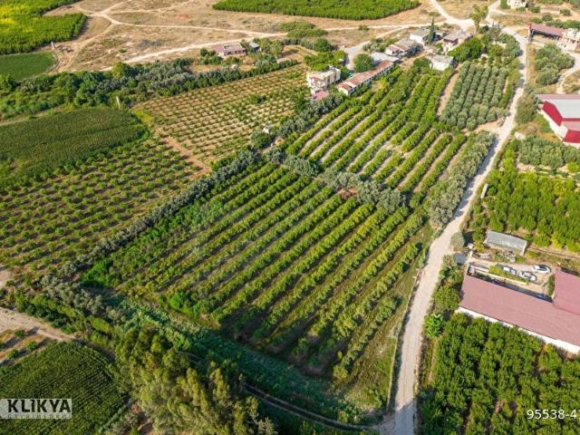 Tarsus, Mersin içerisinde satılık mülk