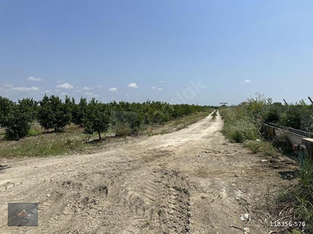 Tarsus, Mersin içerisinde satılık mülk
