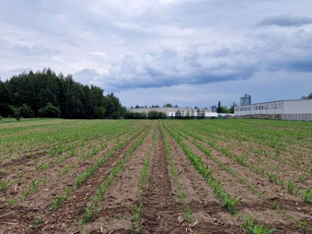 Grunt na sprzedaż w Mrozy, Mazowieckie
