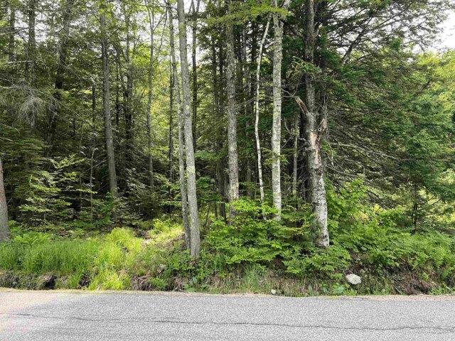 Land for sale in New Hampshire