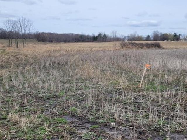Land for sale in Ionia, Michigan