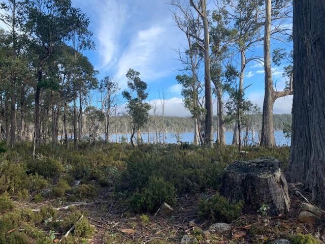 Land for sale in University Of Tasmania, Tasmania