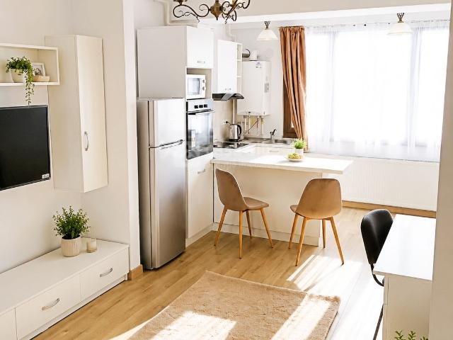 Apartament închirieri în Mircea Cel Batran, Iași