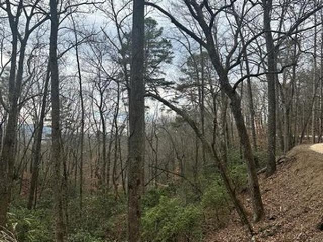 Land for sale in Andrews, North Carolina