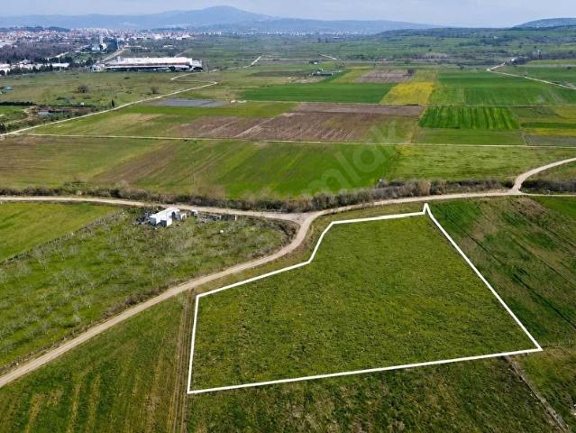 Tatkavaklı, Mustafakemalpaşa içerisinde satılık Arsa