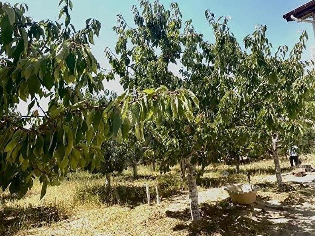 Selçuklu, Konya içerisinde satılık Arsa