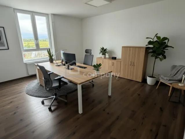 Gewerbe mieten in Tattendorf, Niederösterreich