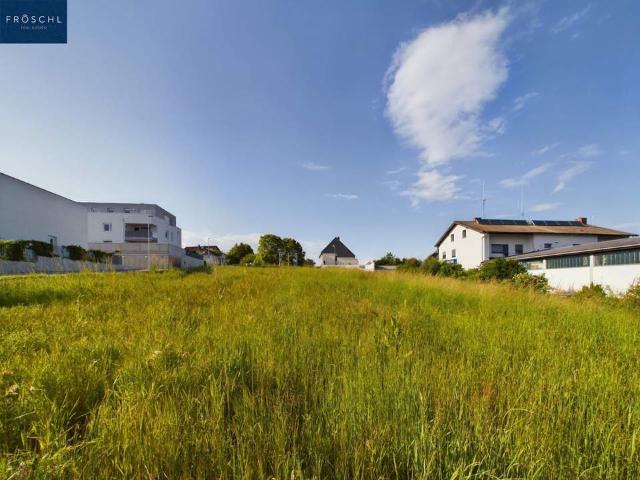 Grundstück kaufen in Zwettl, Niederösterreich