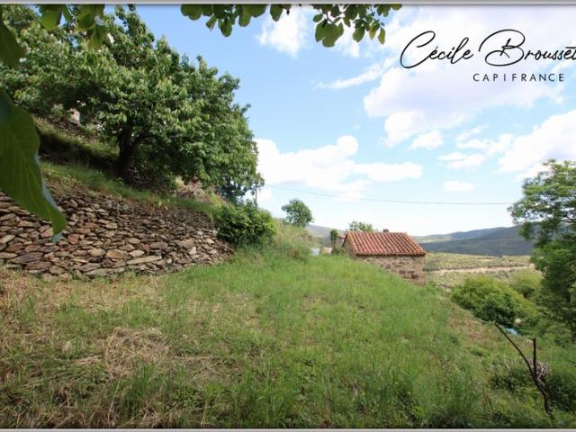 Maison vente à Céret, Taulis