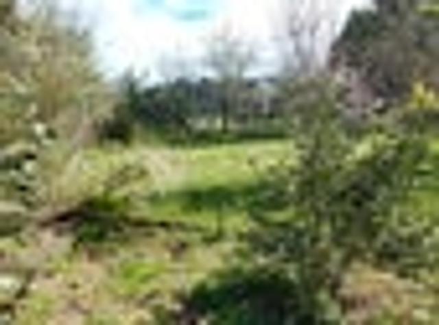 House for rent in Ruapehu District