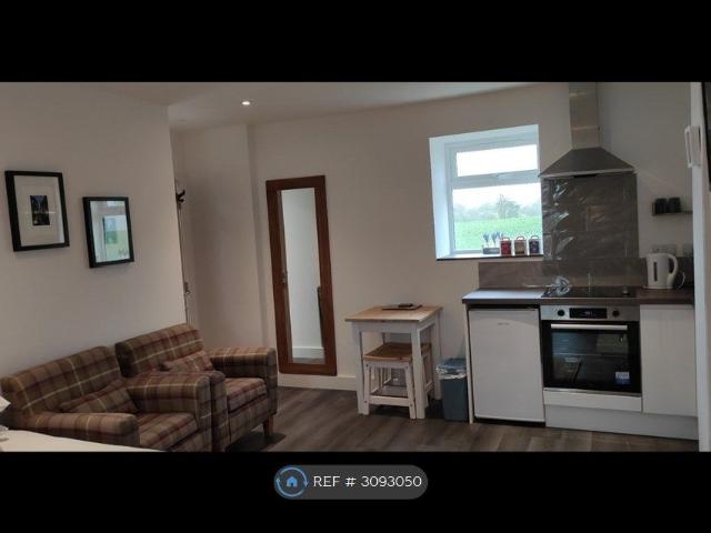 Studio for rent in Hockholler, West Buckland