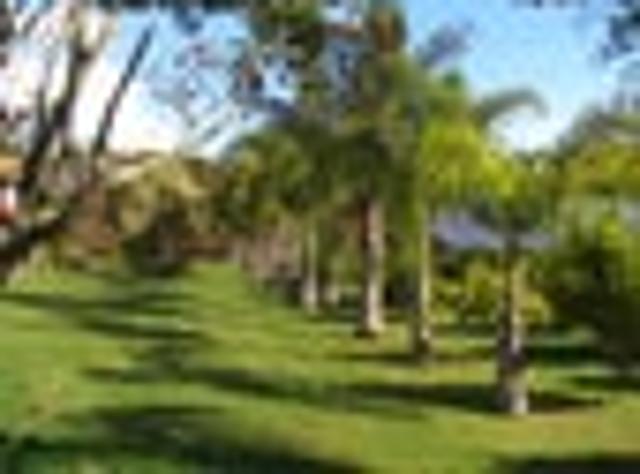 House for rent in Omokoroa, Bay Of Plenty