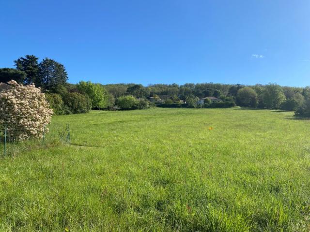 Terrain vente à Albi, Tauriac