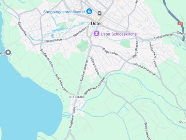 Wohnung kaufen in Uster, Zürich