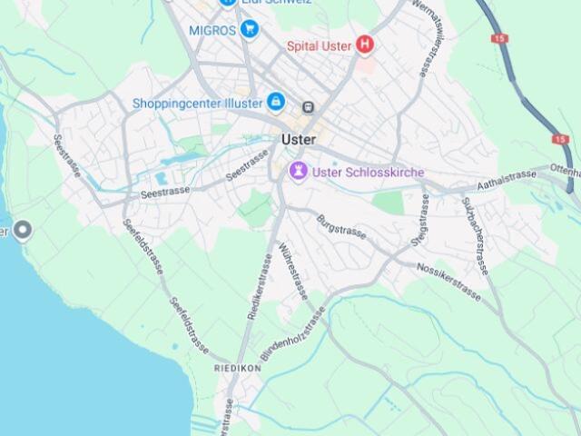 Wohnung kaufen in Uster, Zürich