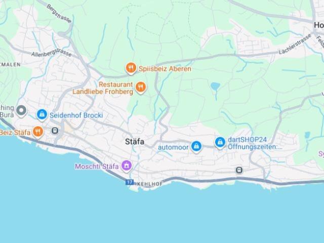 Wohnung kaufen in Stäfa, Zürich