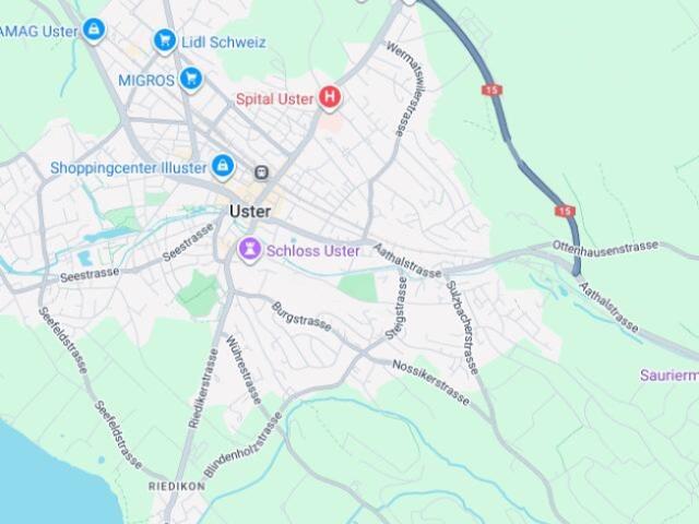 Wohnung kaufen in Uster, Zürich