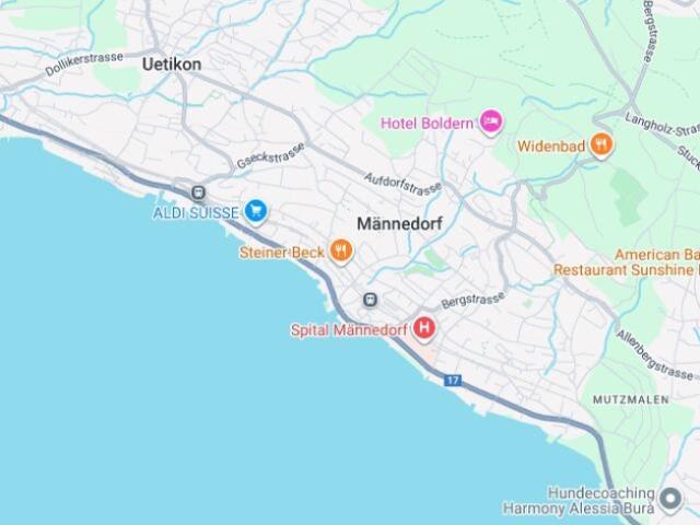 Wohnung kaufen in Männedorf, Zürich