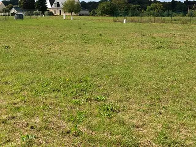 Terrain vente à Loches, Tauxigny