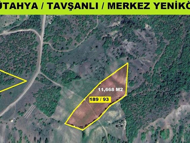 Tavşanli, Kütahya içerisinde satılık Arsa