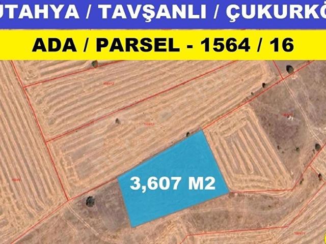 Tavşanli, Kütahya içerisinde satılık Arsa