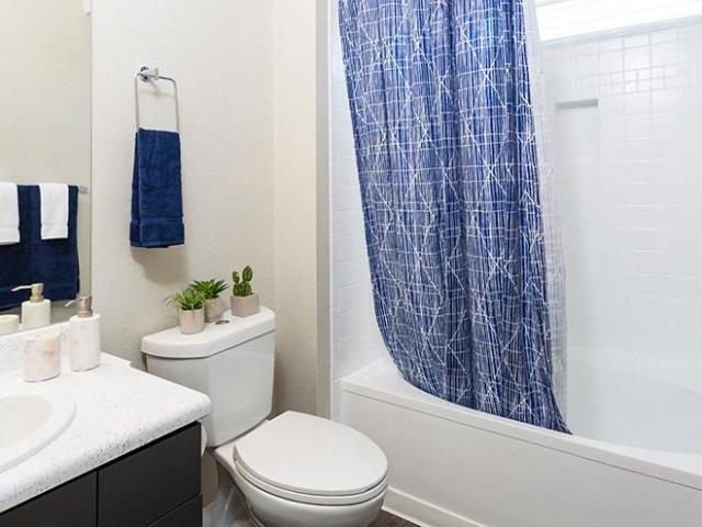 Apartment for rent in Denver, Colorado