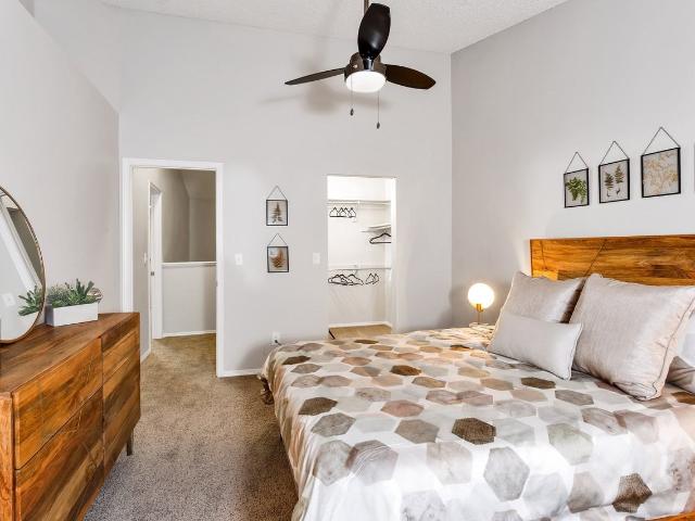 Apartment for rent in Denver