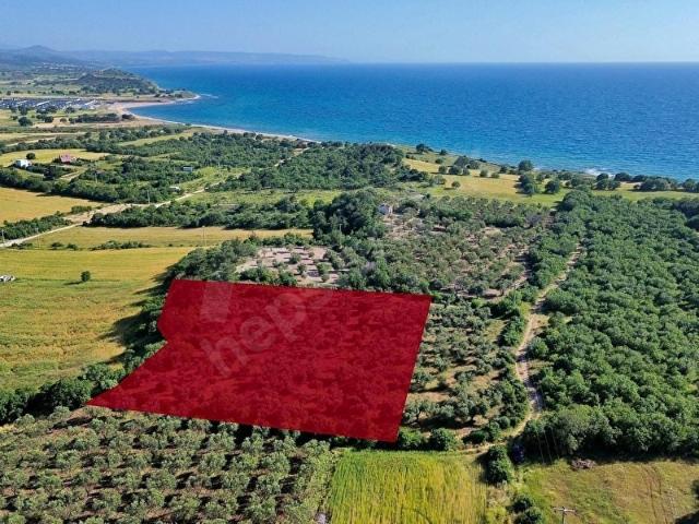 Ezine, Çanakkale içerisinde satılık Arsa