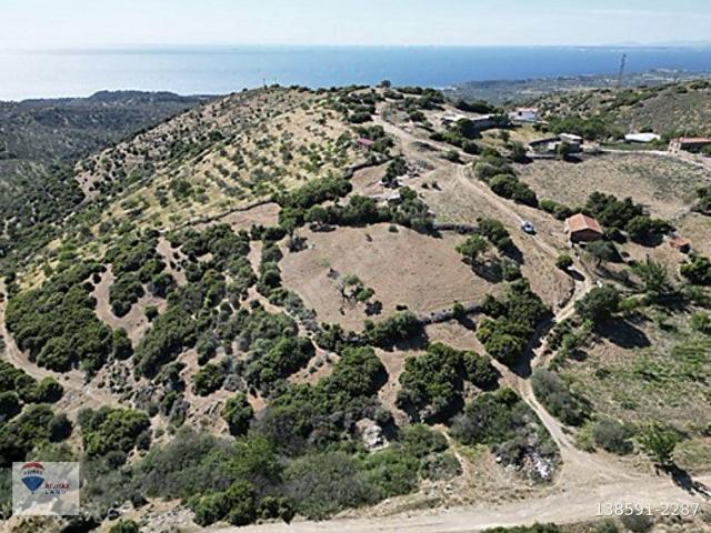 Ezine, Çanakkale içerisinde satılık Arsa