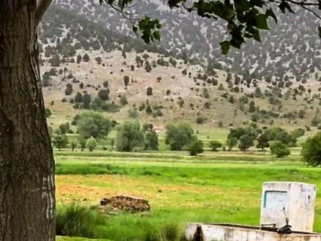 Aydoğdu, Tavas içerisinde satılık mülk