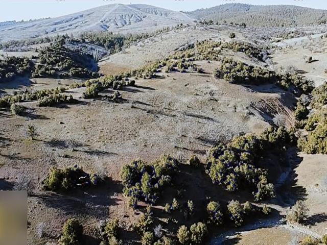 Gökçeler, Tavas içerisinde satılık Arsa