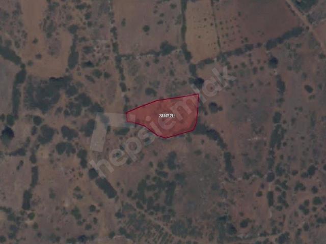 Horasanlı, Tavas içerisinde satılık Arsa