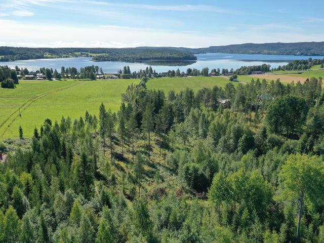 Tomt till salu i Västerbotten