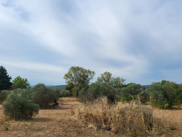 Terrain vente à Brignoles, Tavernes