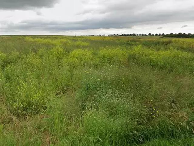 Terrain vente à Orléans, Tavers