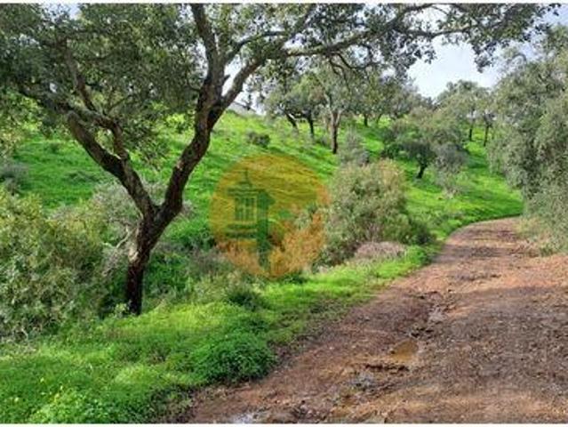 Terreno venda em Santa Catarina da Fonte do Bispo, Tavira