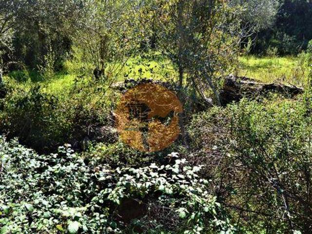 Terreno venda em Santa Catarina da Fonte do Bispo, Tavira