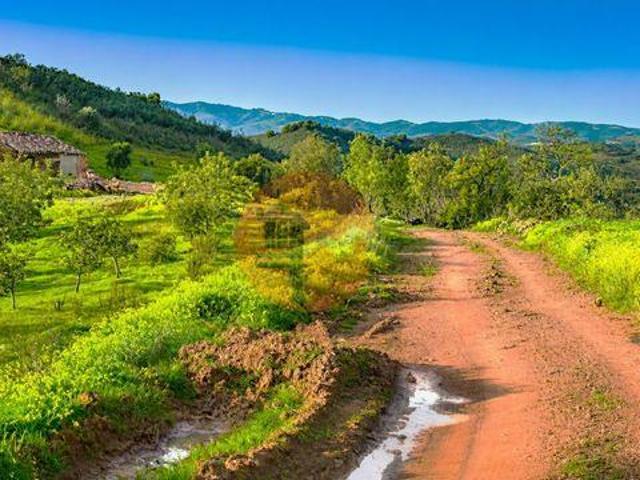 Terreno venda em Bodega, Tavira