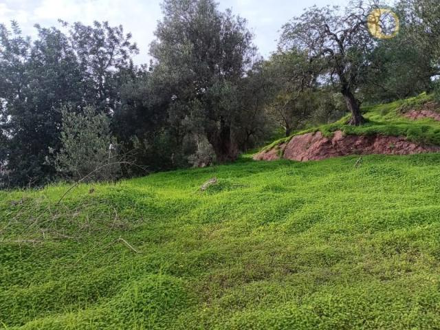 Terreno venda em Tavira, Faro
