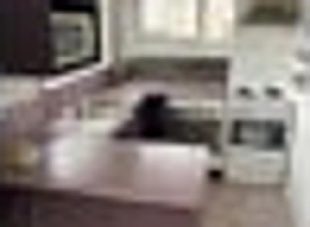 Apartment for rent in Linden, Wellington