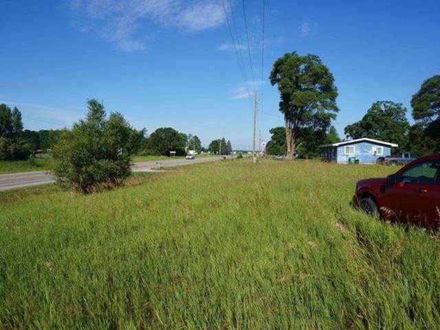 Land for sale in Hale, Michigan
