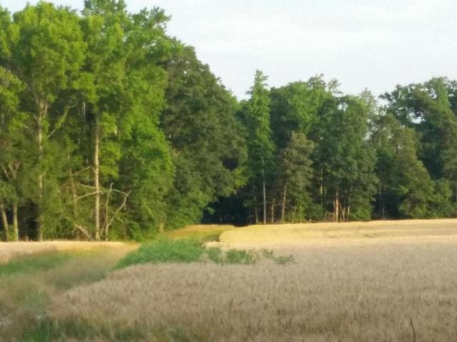 Land for sale in King George, King George County