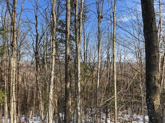 Land for sale in New Hampshire