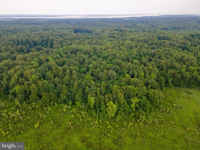 Land for sale in Virginia