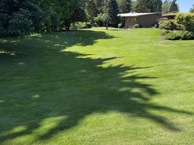 Land for sale in Lebanon, Linn County