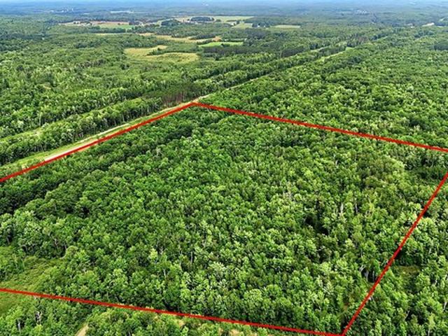 Land for sale in Sandstone, Minnesota
